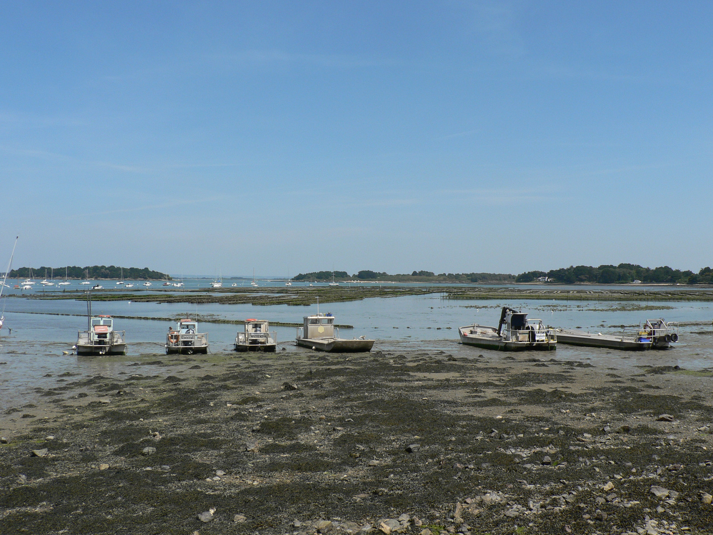 Marée basse à côté de Sarzeau