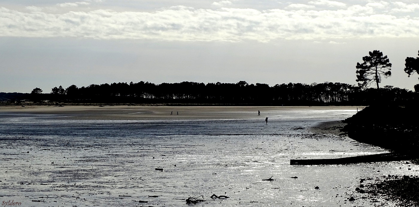 Marée basse à Gatseau