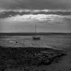 Marée basse à l'île de Ré