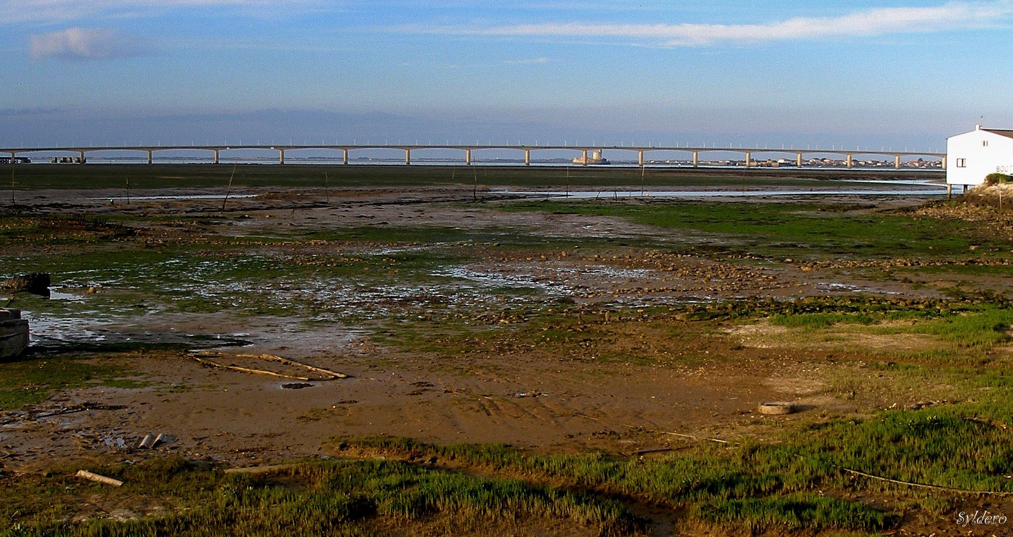 Marée basse à Oléron