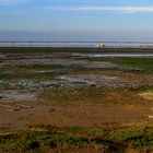 Marée basse à Oléron