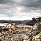 Marée basse à Roscoff