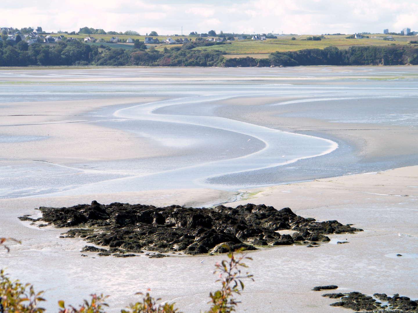 Marée Basse Bretonne