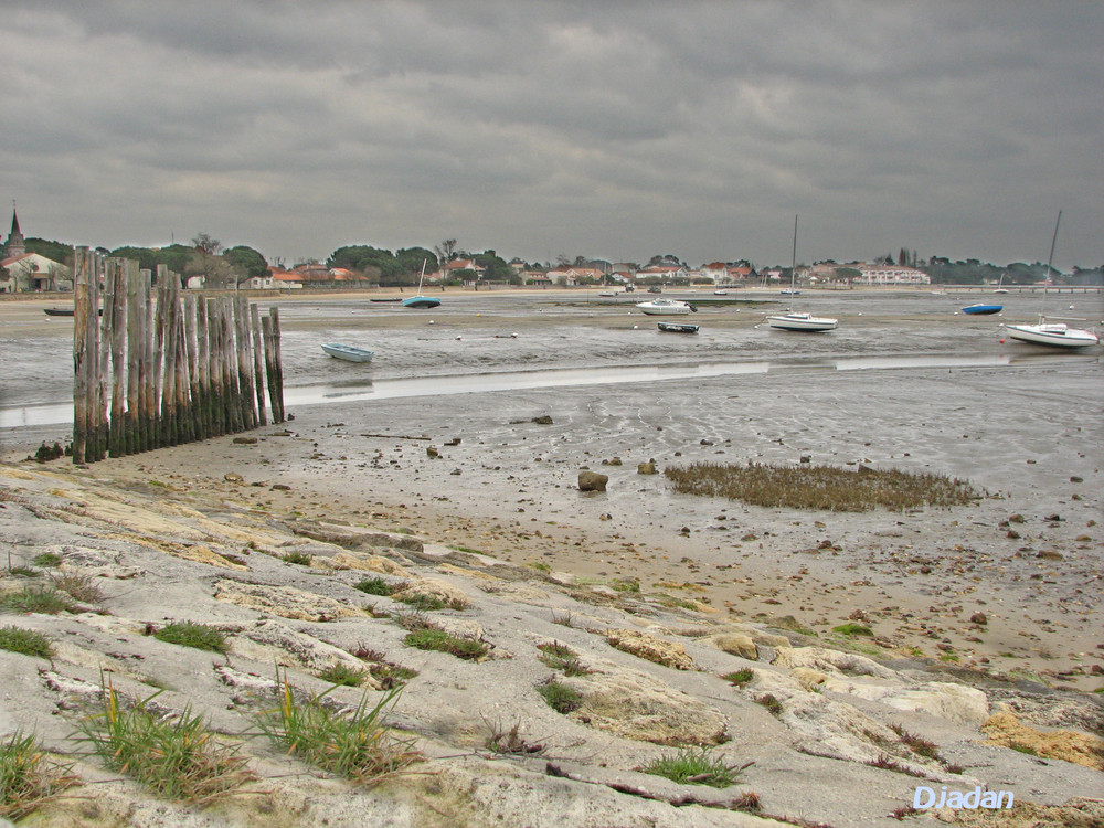 marée basse