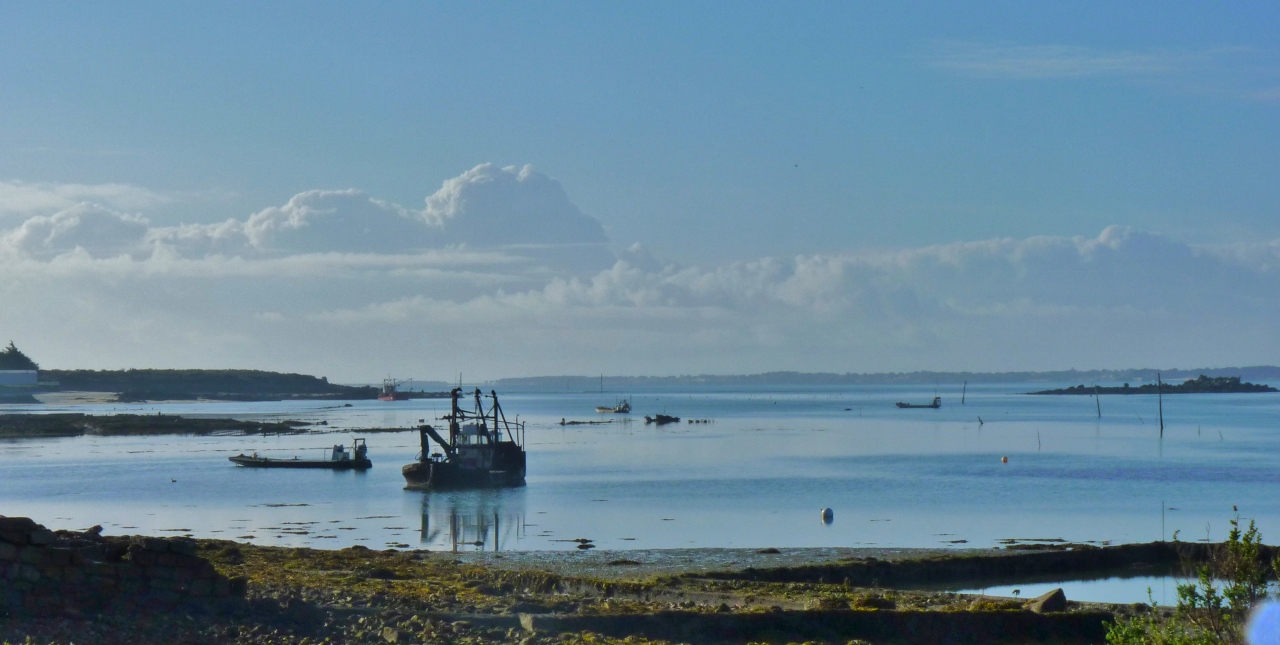 Marée basse du côté de Plouharnel(Morbihan)