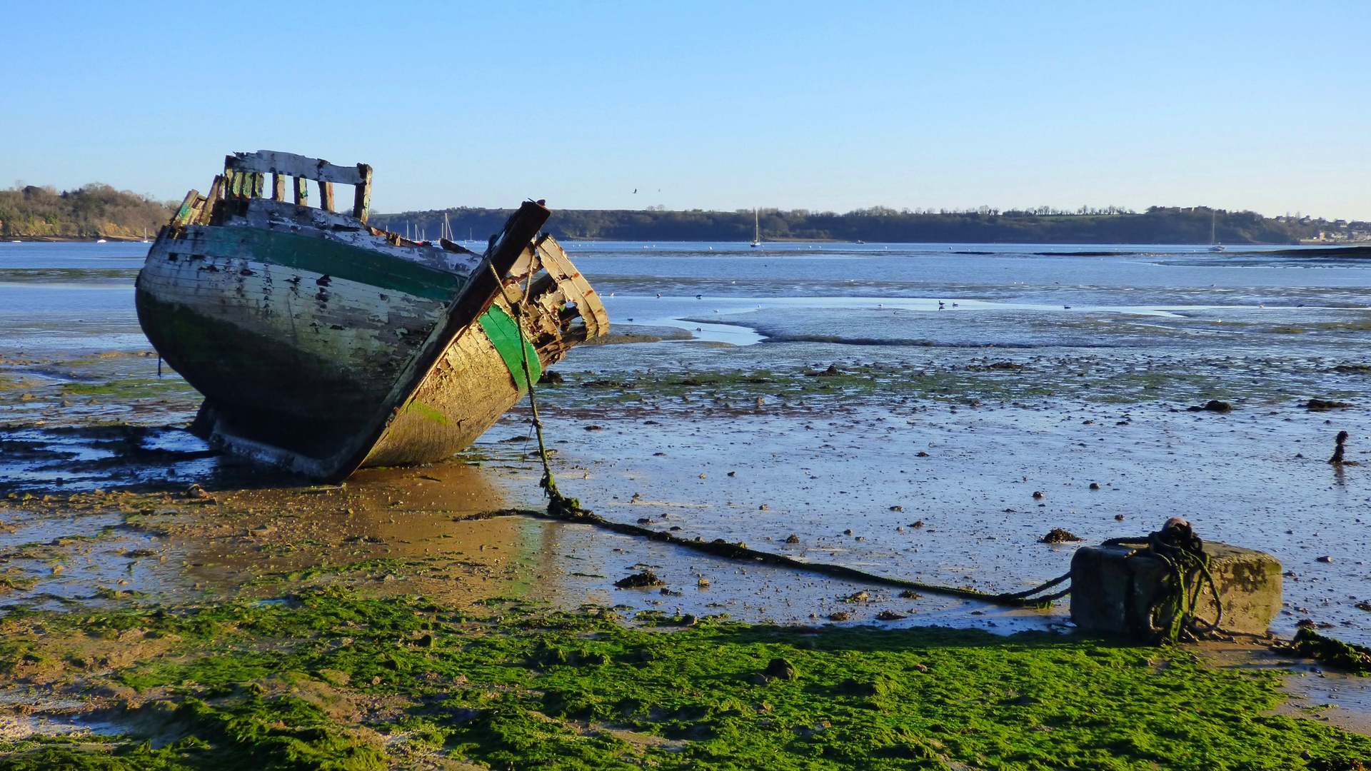 Marée basse