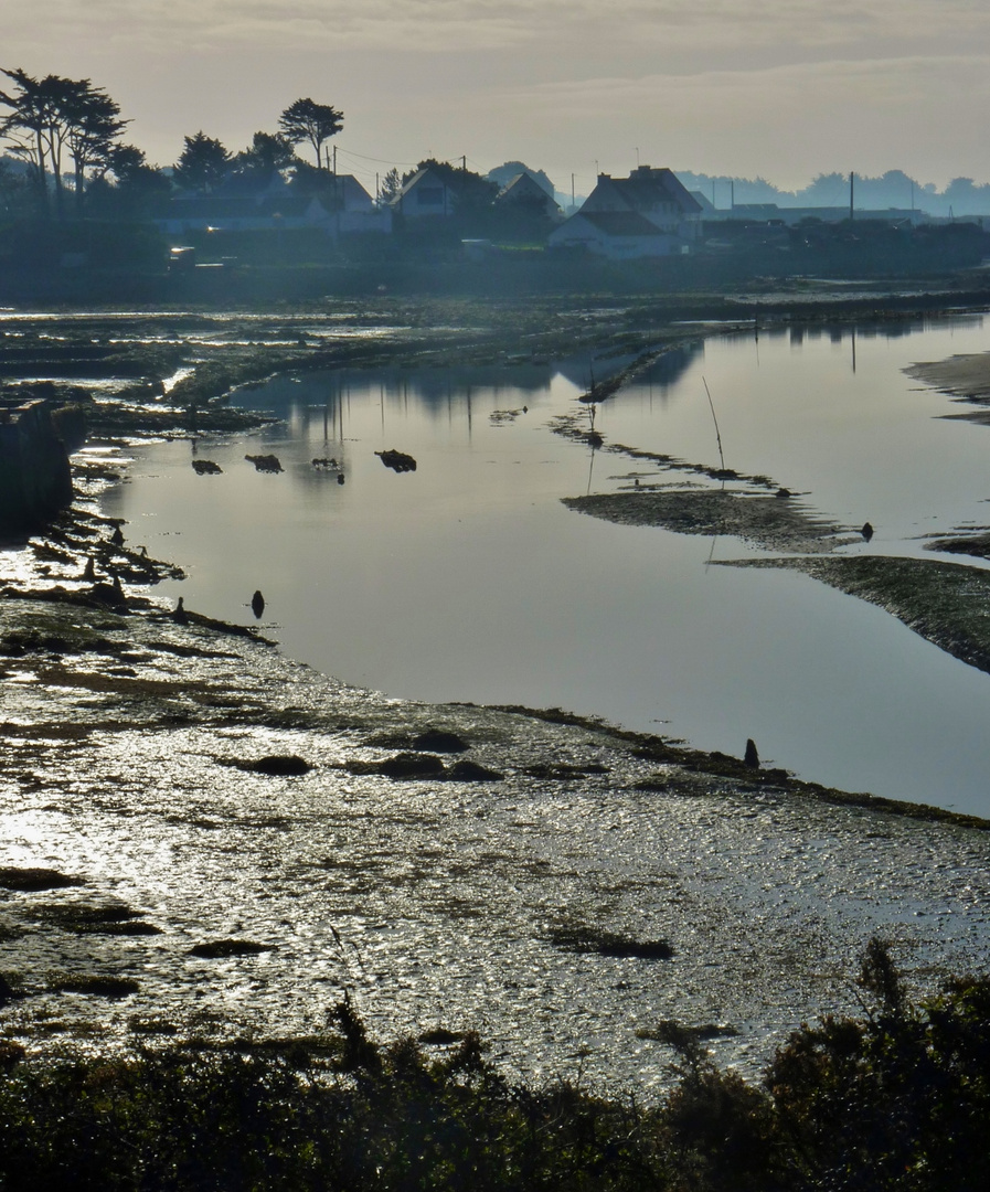 Marée basse en contre-jour le matin