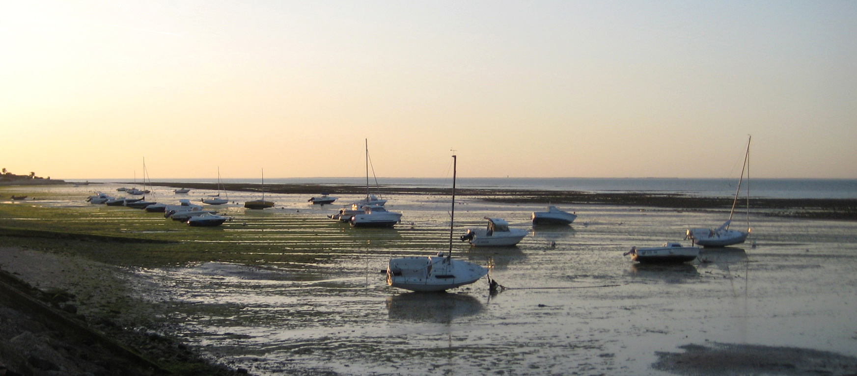 marée basse ile de Ré