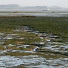 Marée basse sur le Golfe du Morbihan