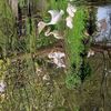 mareike83rz