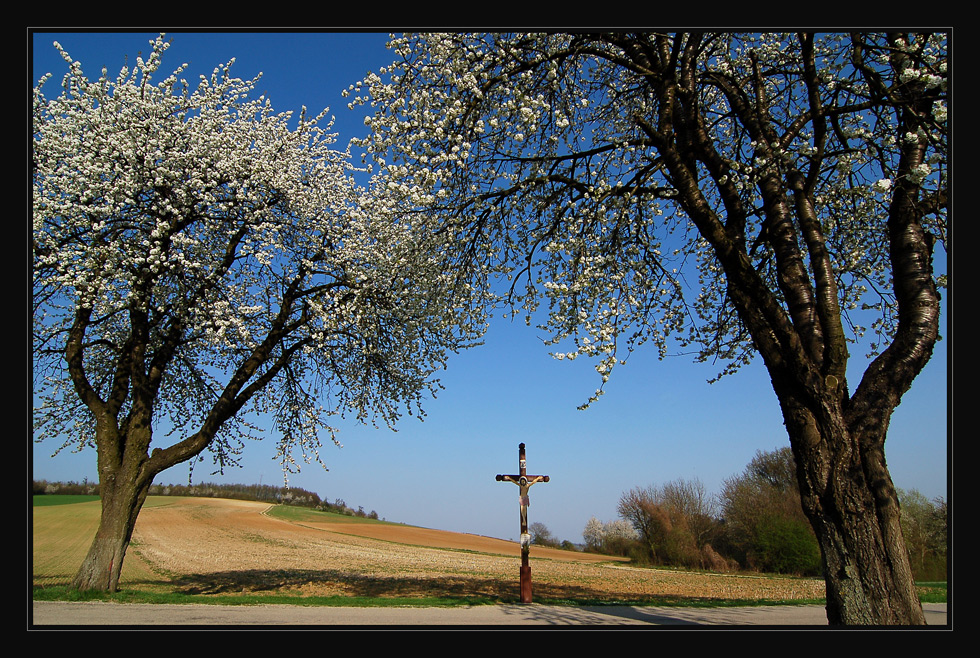 Mareinerkreuz