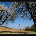 Mareinerkreuz