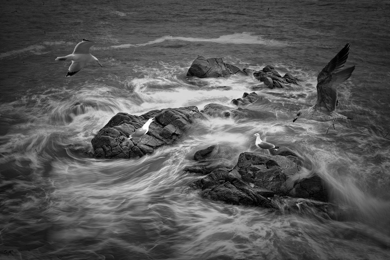 Marejada en la Costa Brava