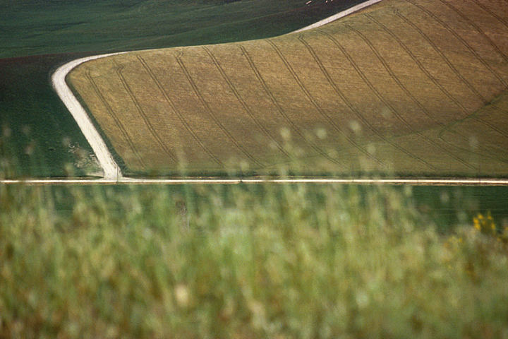 Maremma 2002