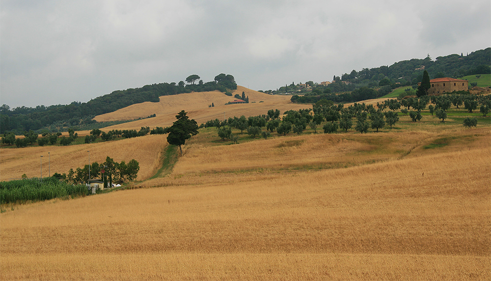 Maremma...