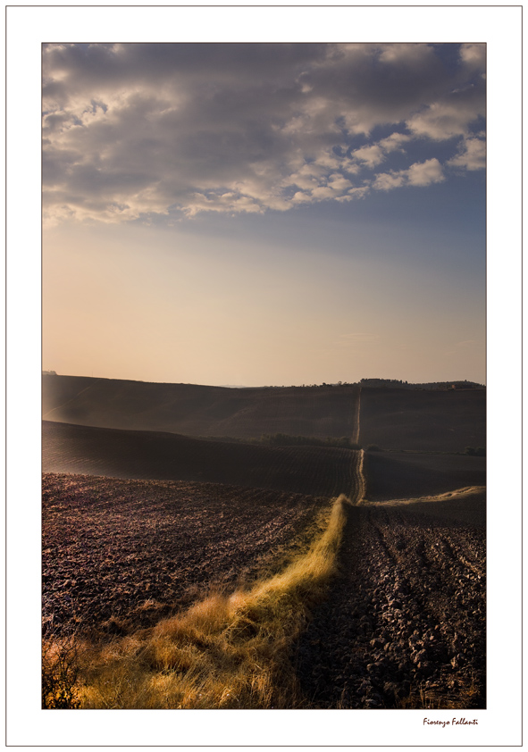 Maremma, al sorgere del sole...