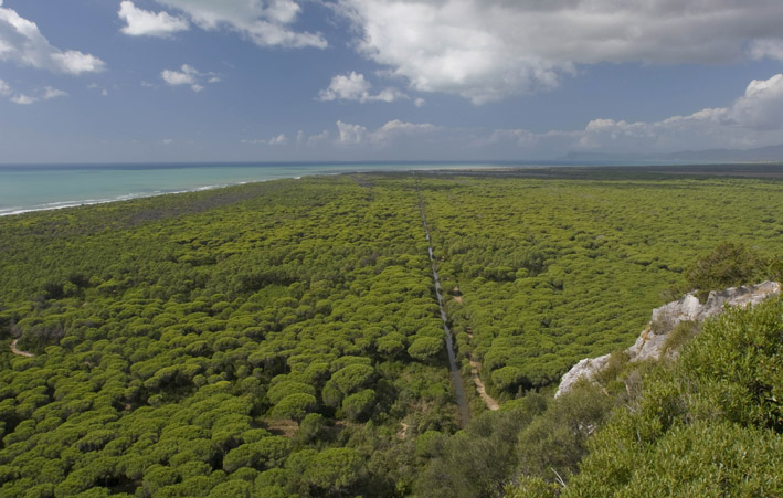 Maremma - Another Paradise