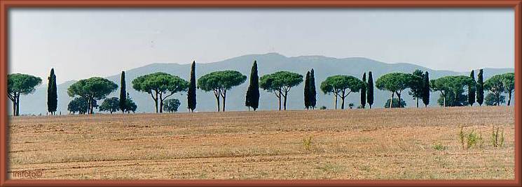 Maremma