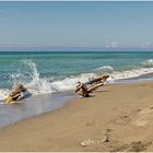 Maremma Beach