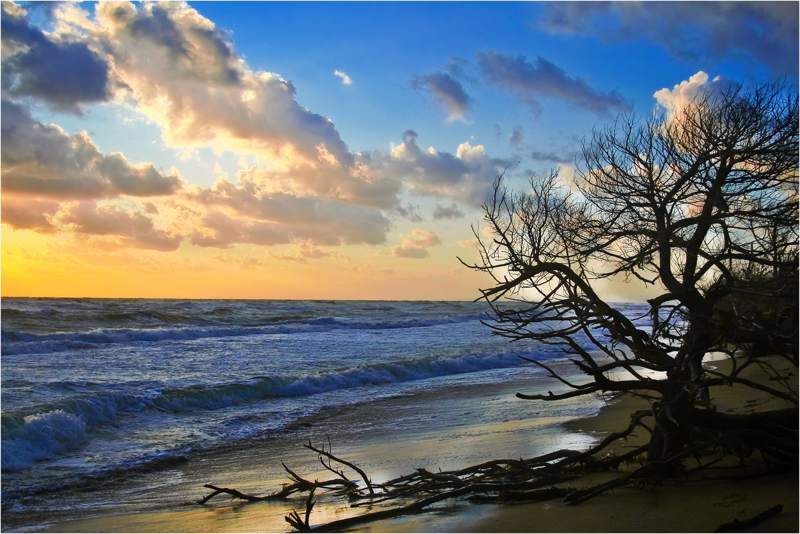 Maremma Beach