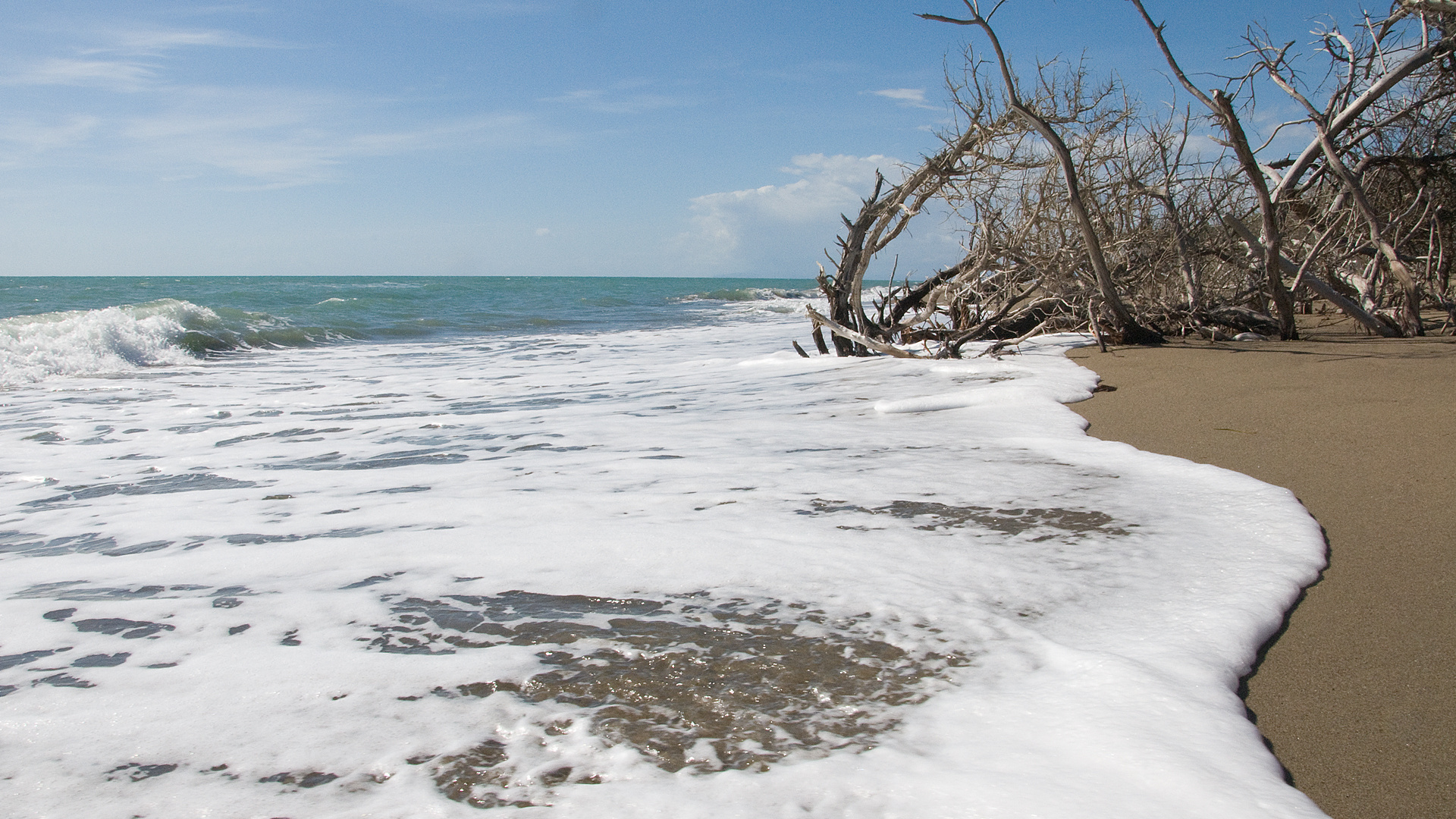 Maremma Nationalpark - Grosseto