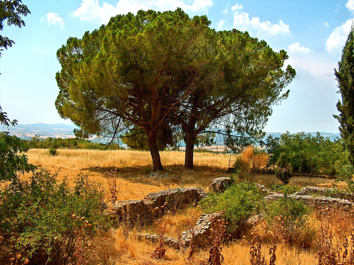 Maremma Selvaggia