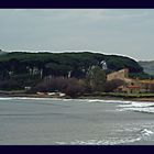 MAREMMA SUL GOLFO DI BARATTI