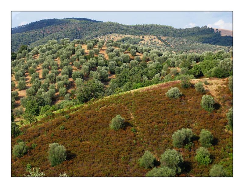 Maremma, Toskana