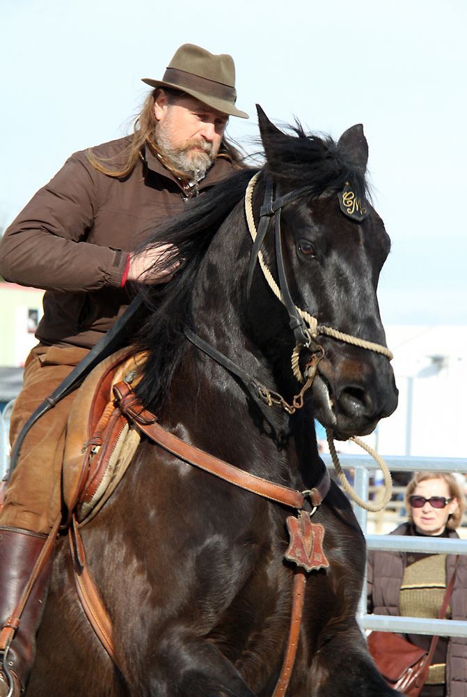 Maremmareiter in Avignon 2012