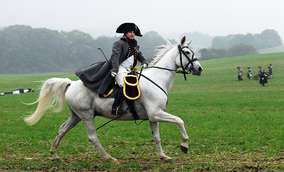 Marengo Foto & Bild frankreich, pferde, tiere Bilder auf