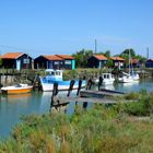 Marennes (Charente-Maritime)