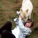 Marens Überlebenskampf mit dem Polarwolf !!!