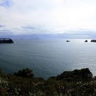 ~ Mare's Leg Cove and Cathedral Cove ~