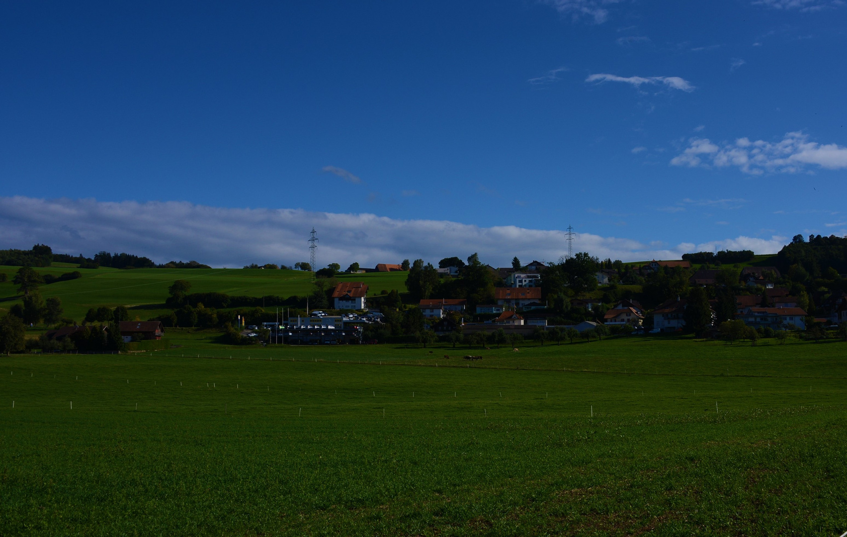 Marfeldingen bei Mühleberg