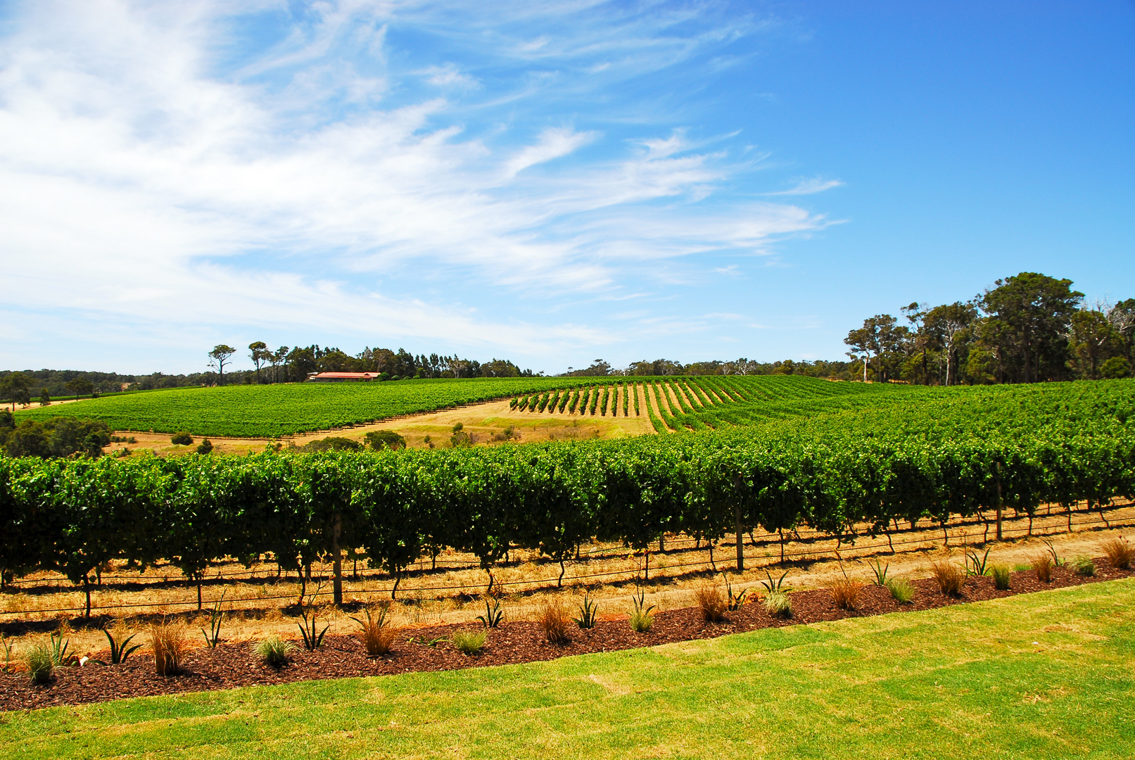 Margaret River Winery