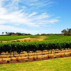 Margaret River Winery