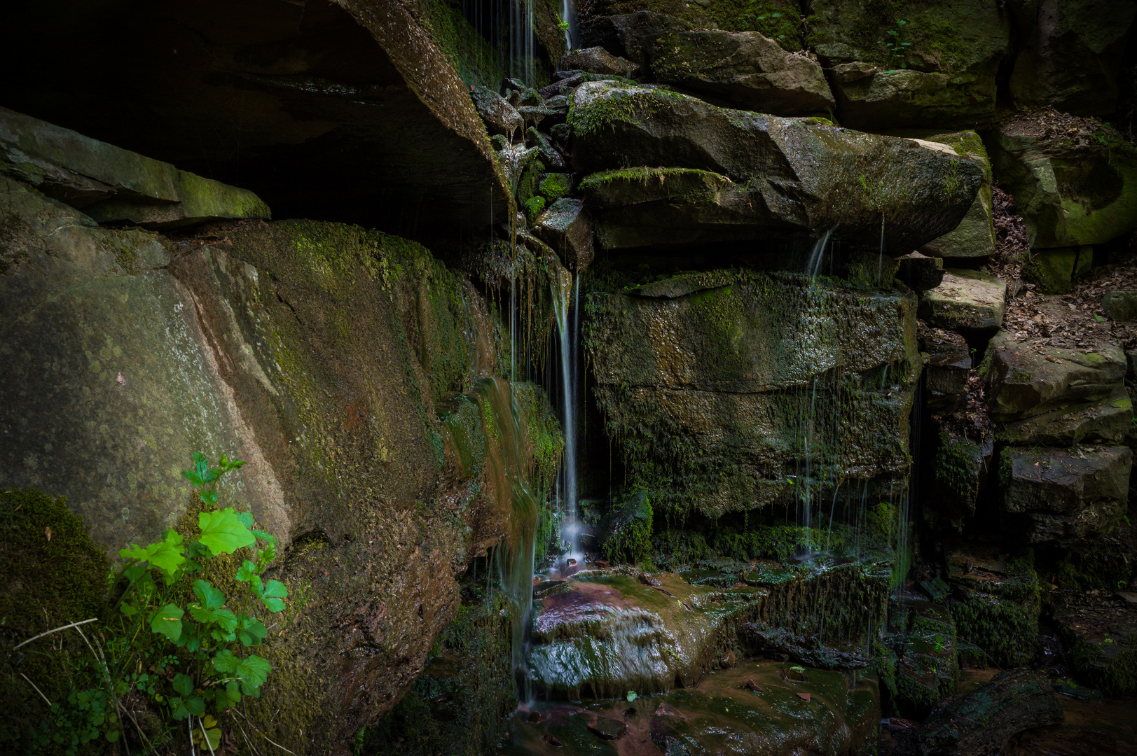 Margaretenschlucht 4