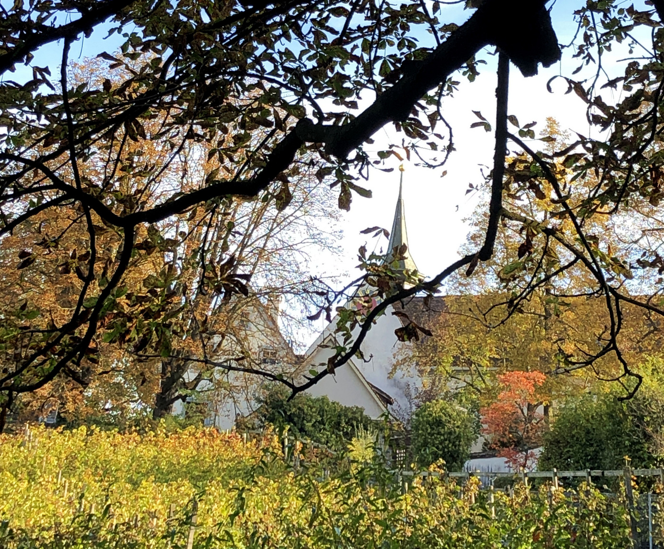 Margarethen- Kirche in Binningen  ,Schweiz