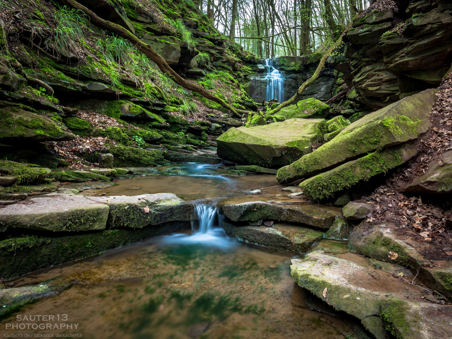 Margarethenschlucht Foto & Bild wald, wasser, natur Bilder auf