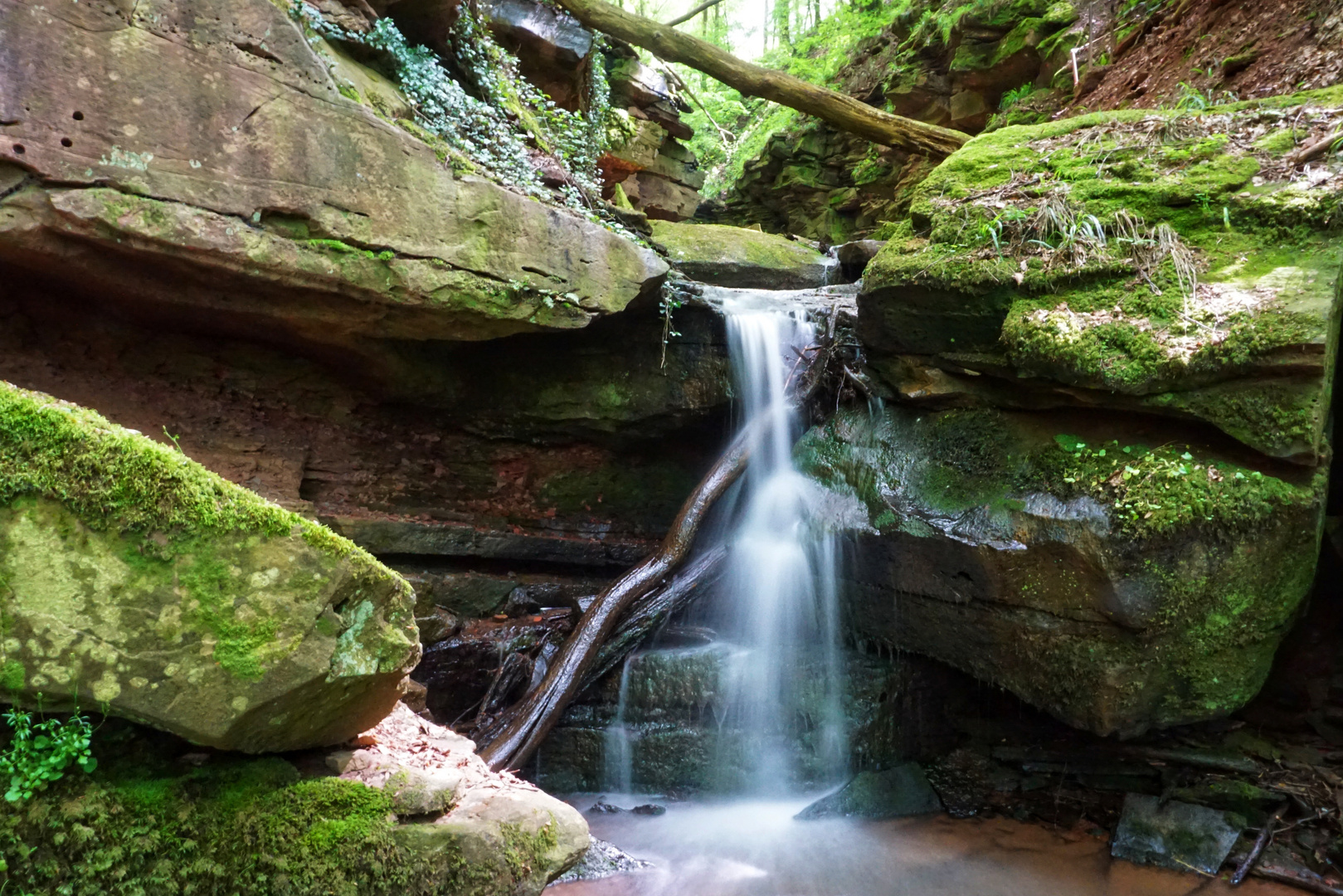 Margarethenschlucht