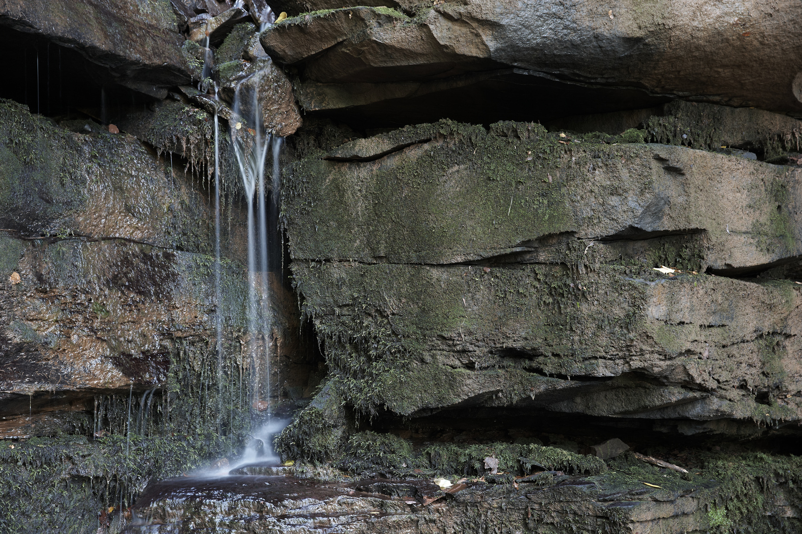 Margarethenschlucht bei Neckargerach