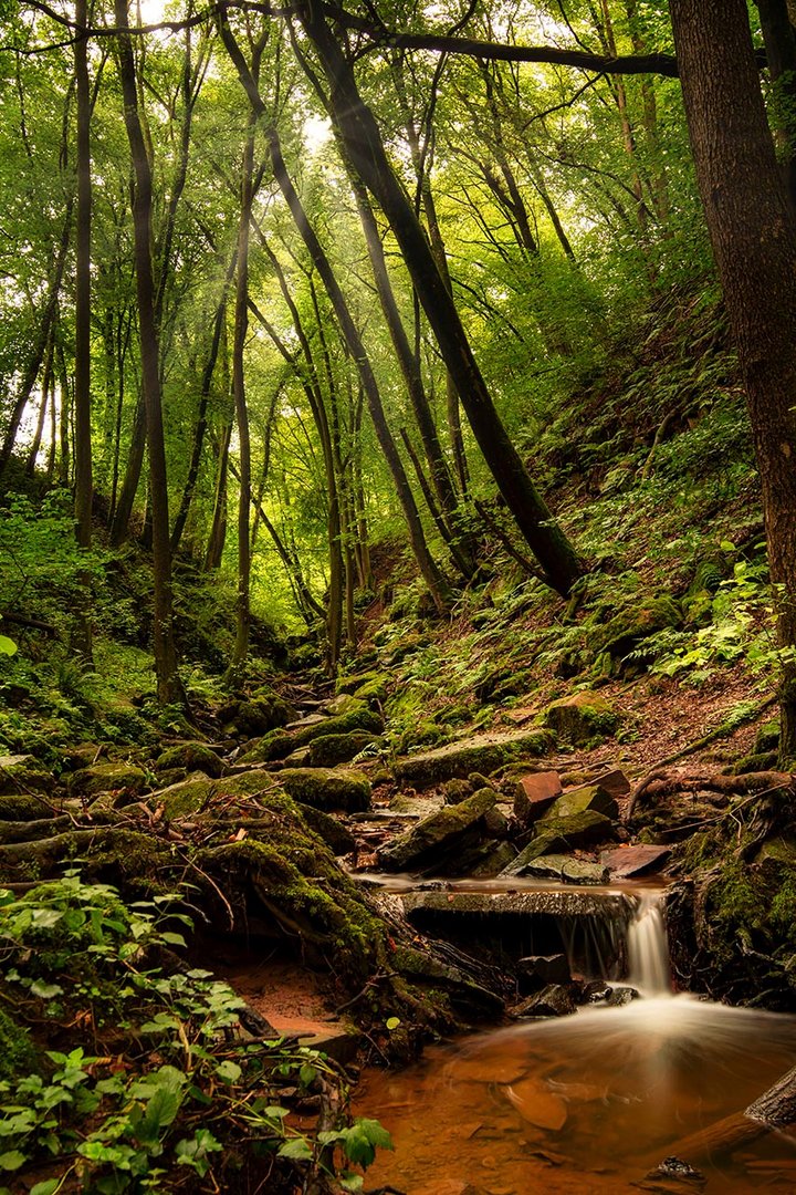 Margarethenschlucht (Neckargerach)