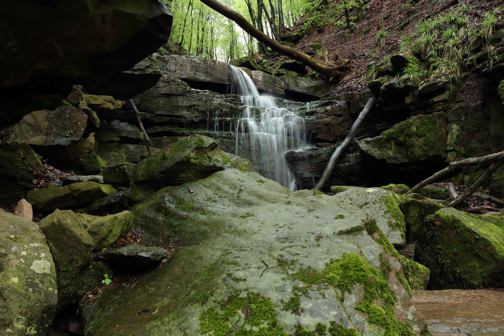 Margarethenschlucht Neckargerach