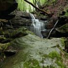 Margarethenschlucht Neckargerach