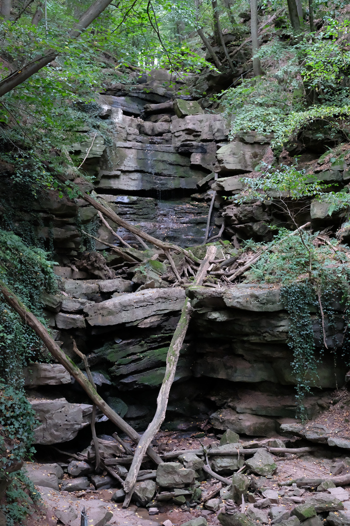 Margarethenschlucht Neckargerach - Neckarsteig, unterer Eingangsbereich