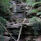 Margarethenschlucht Neckargerach - Neckarsteig, unterer Eingangsbereich