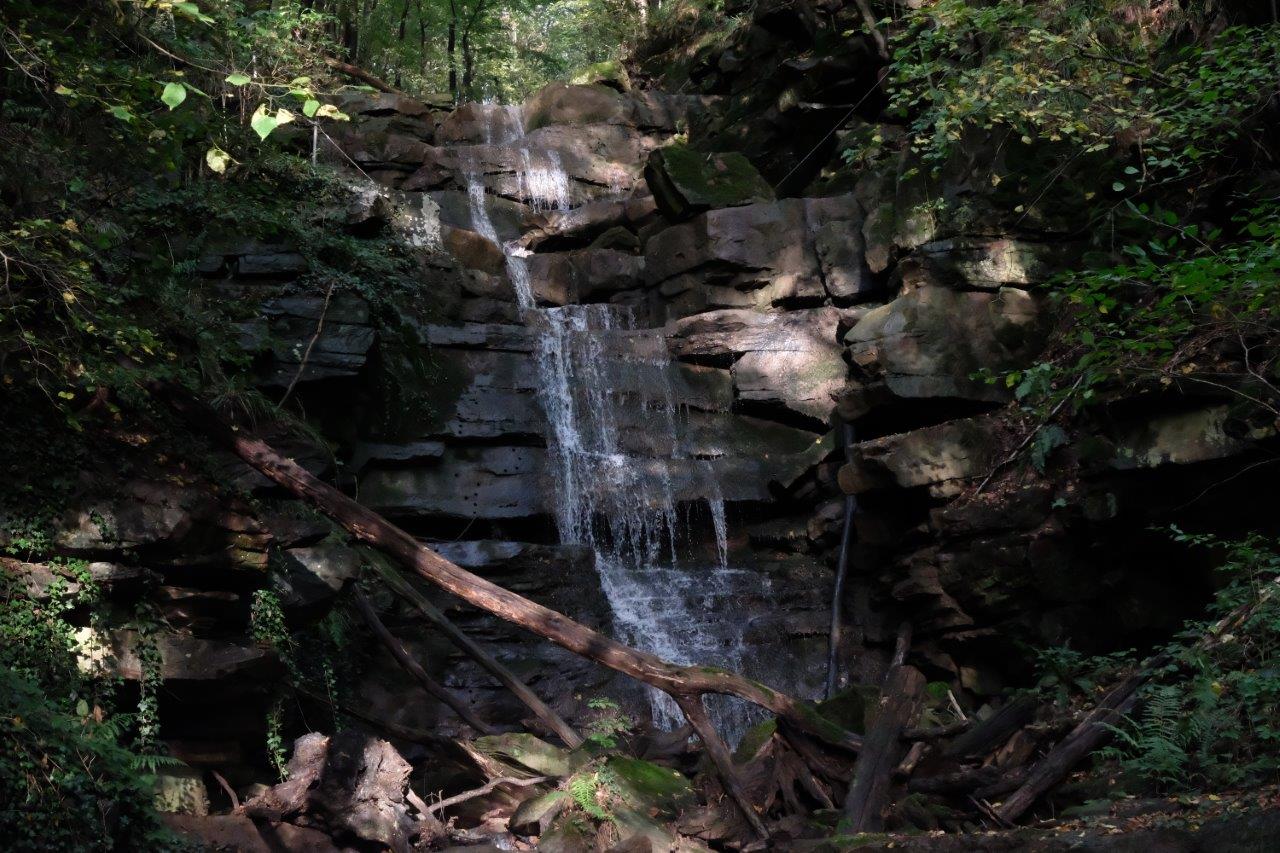 Margarethenschlucht Neckarsteig Neckargerach