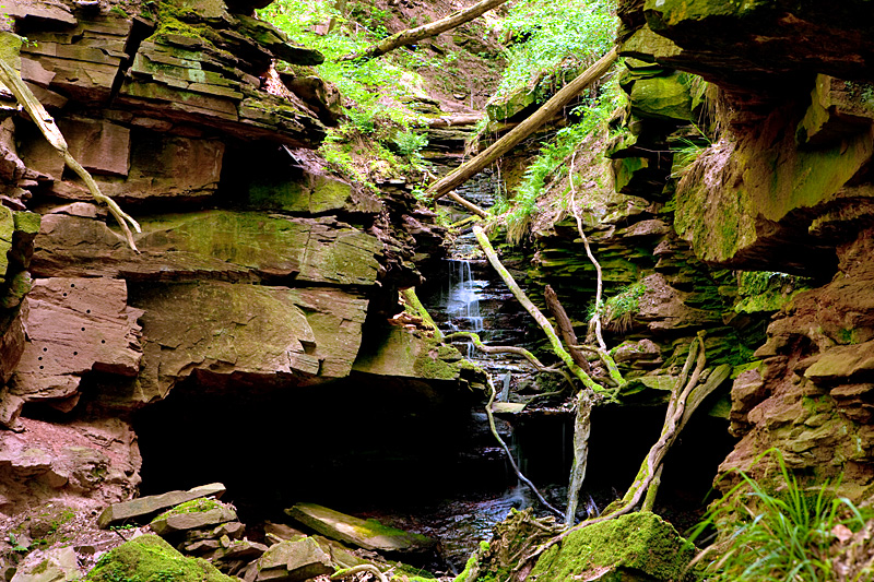 Margarethenschlucht - Odenwald Fotoworkshop - Naturpark Neckartal-Odenwald