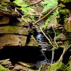 Margarethenschlucht - Odenwald Fotoworkshop - Naturpark Neckartal-Odenwald