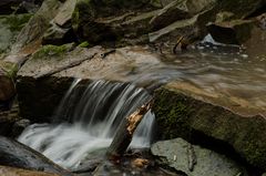 Margarethenschlucht_Odenwald- Nr.1